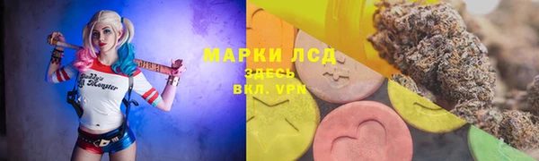 твердый Абаза