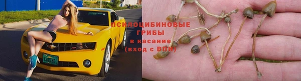твердый Абаза