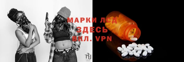 твердый Абаза