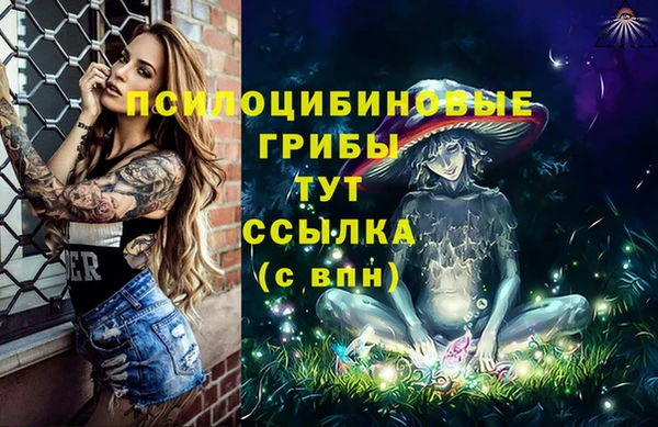 спиды Абинск