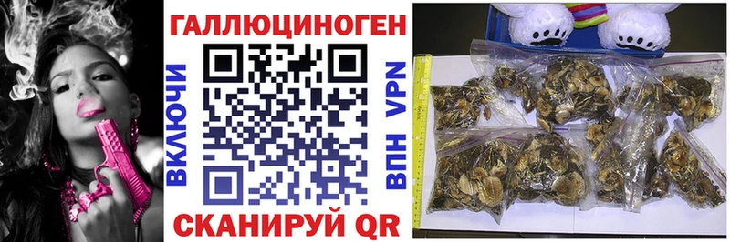 Галлюциногенные грибы MAGIC MUSHROOMS Иноземцево